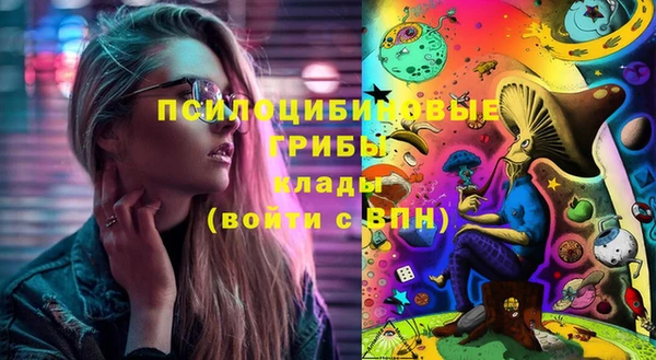 PSILOCYBIN Вязники